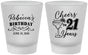 Custom 21st Birthday Frosted Shot Glasses - Cheers To Twenty One Years | 340019