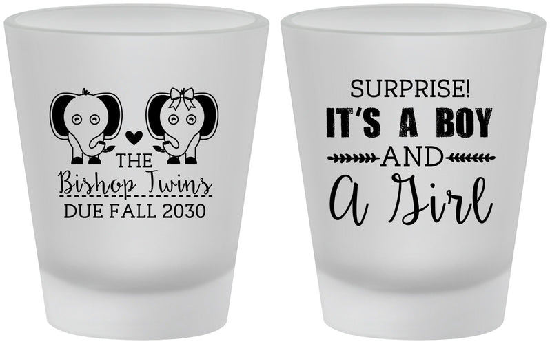 Custom Baby Shower Frosted Shot Glasses - Twins Boy And Girl | 90026