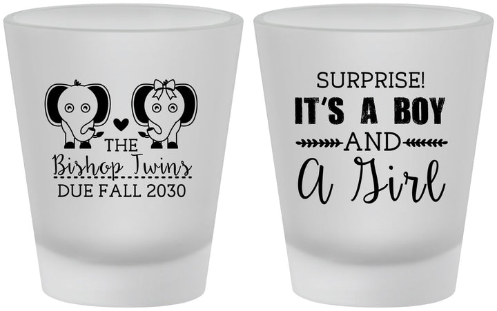 Custom Baby Shower Frosted Shot Glasses - Twins Boy And Girl | 90026
