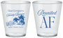 Custom Family Reunion Plastic Shot Glasses - Beach Reunited Af | 160012