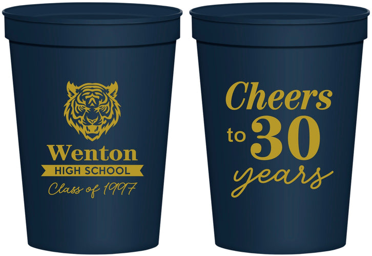 Personalized Class Reunion 16 oz Stadium Cups - Class Of 1997 30 Year | 140002