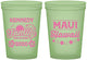 Custom Family Vacation 16 oz Glow In The Dark Cups - Hawaii | 180040