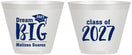 Custom Graduation 9 oz Wine Frosted Cups - Class Of 2027 Dream Big | 130038