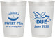 Personalized Baby Shower 10 oz Frosted Cups - Sweat Pea Stork | 90084