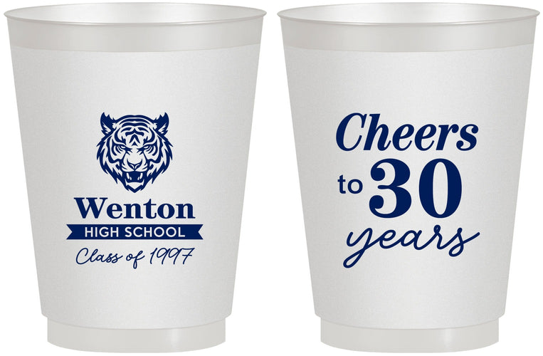 Personalized Class Reunion 16 oz Frosted Cups - Class Of 1997 30 Year | 140002