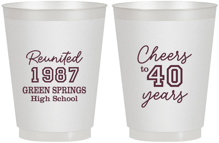 Personalized Class Reunion 16 oz Frosted Cups - Class Of 1987 40 Year | 140003
