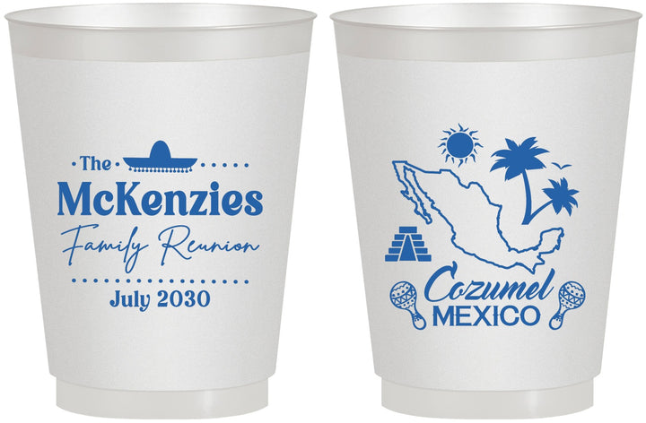 Personalized Family Reunion 16 oz Frosted Cups - Mexico | 160033