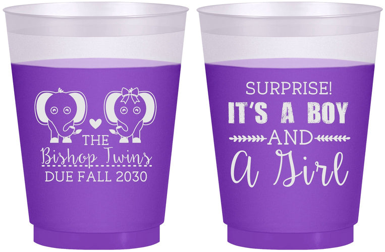 Custom Baby Shower 16 oz Color Changing Frosted Cups - Twins Boy And Girl | 90026