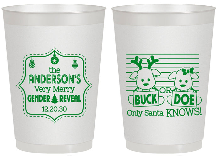 Personalized Baby Shower 20 oz Frosted Cups - Christmas Gender Reveal | 90194